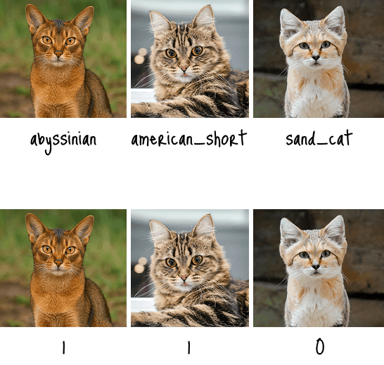 Machine Learning Paradigms: From RLHF to Meta-Learning
